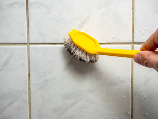 Best Mold Removal Company Near Me  in Kidron, OH