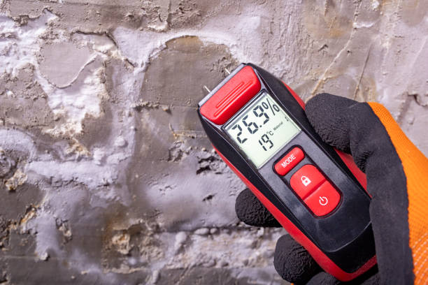 Best Mold Cleaning Services  in Kidron, OH