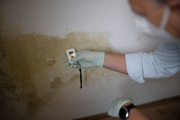 Best Mold Testing  in Kidron, OH
