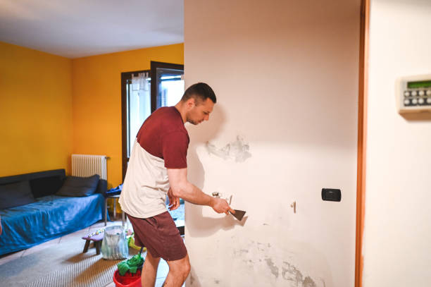Best Water Damage Restoration  in Kidron, OH
