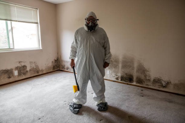 Best Crawl Space Mold Removal  in Kidron, OH